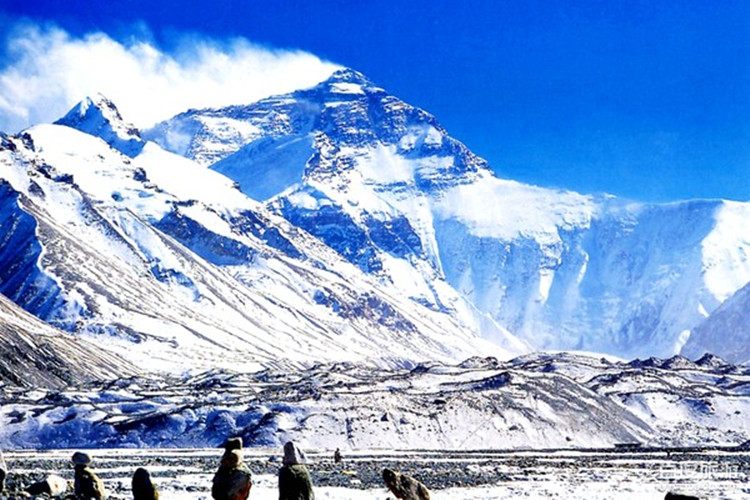 中醫(yī)學(xué)專(zhuān)升本的學(xué)校