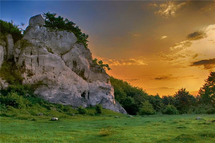 電子科技大學(xué)有沒(méi)有專升本？怎么報(bào)名？