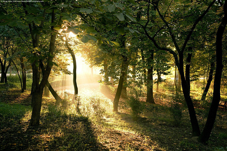 ?？趯Ｉ镜耐緩接心男?？