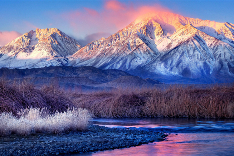 東營專升本院校有哪些？