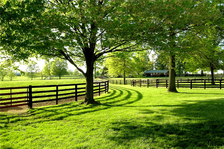 東北師范大學(xué)學(xué)前教育專業(yè)專升本怎么樣？