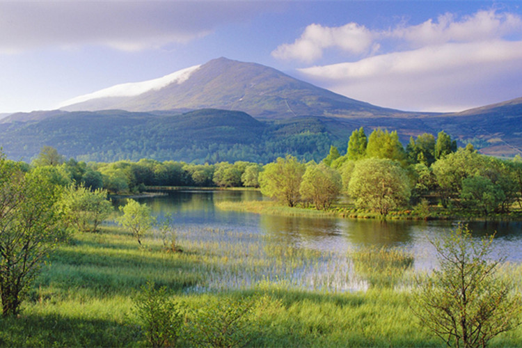 東莞學(xué)歷提升有什么要求？