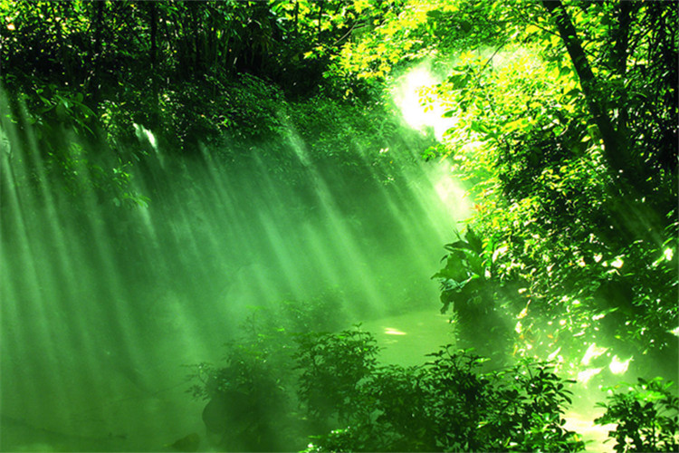 十堰學(xué)歷提升機(jī)構(gòu)哪家好？