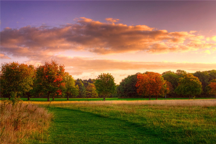英語專業(yè)專升本有哪些方式？