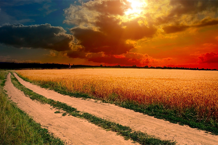 十堰提升學(xué)歷的學(xué)校有哪些？