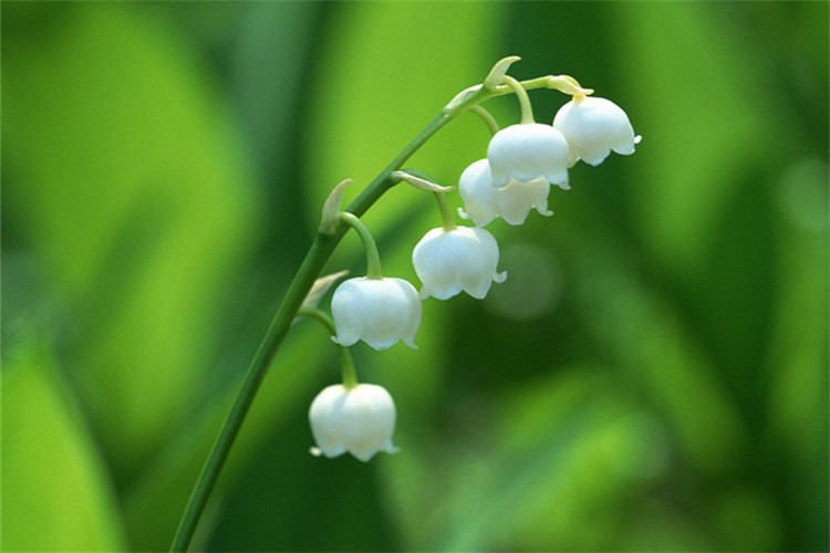 專升本土木工程考什么？