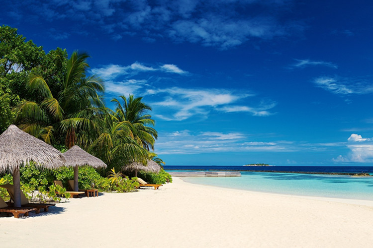 山東專升本土木工程可以報哪些學(xué)校？