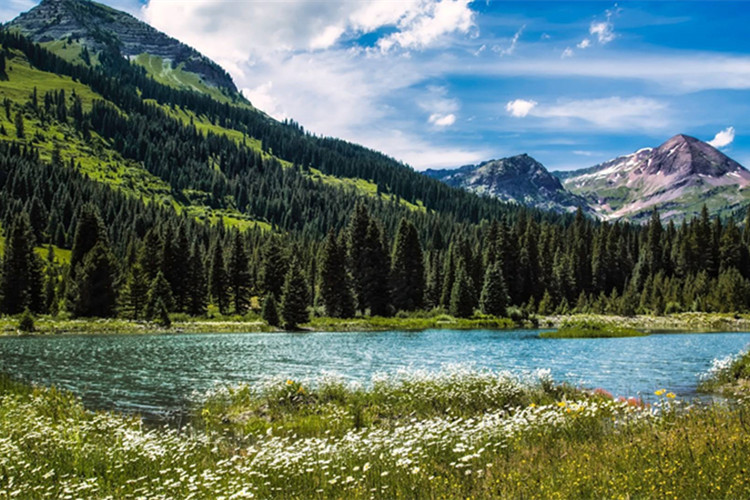 江南大學的工商管理專升本怎么樣？