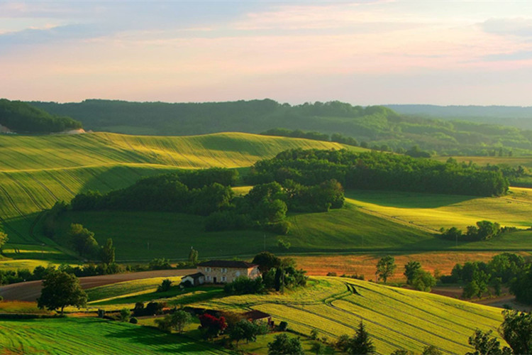 鐵嶺?？粕究颇茉诰W上報名嗎？怎么報？