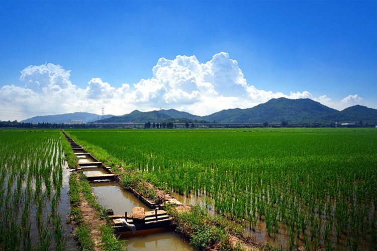 保山上班族怎么快速提升學(xué)歷？