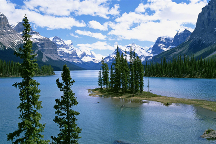 中衛(wèi)專升本能在網(wǎng)上報名嗎？怎么報？