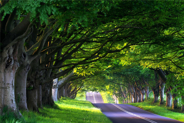 特殊教育專業(yè)可以報考本科院校有哪些？