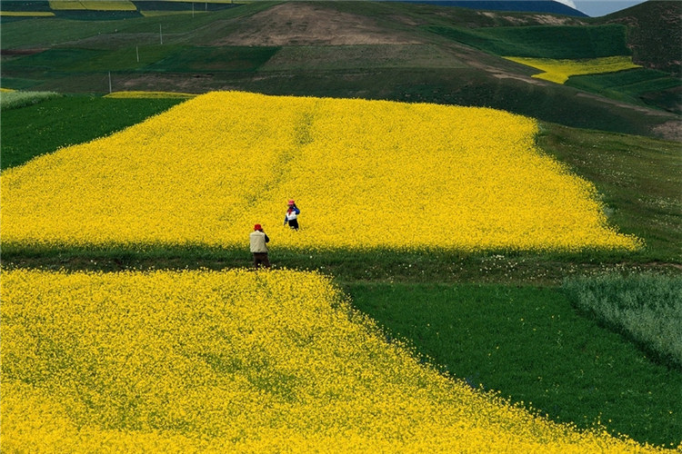 體育教育專業(yè)專升本有哪些院校？