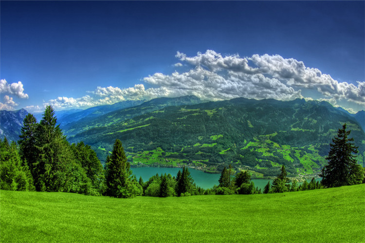 慶陽?？粕究频脑盒Ｅ琶? /></p><p style=