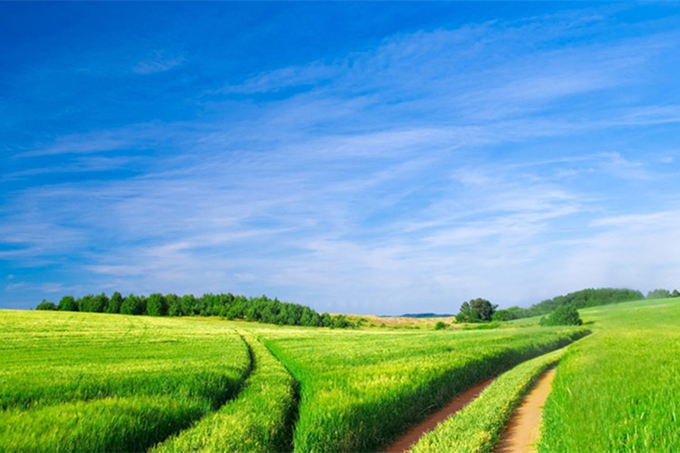 報(bào)考隴南專升本有哪些學(xué)?？梢赃x擇？