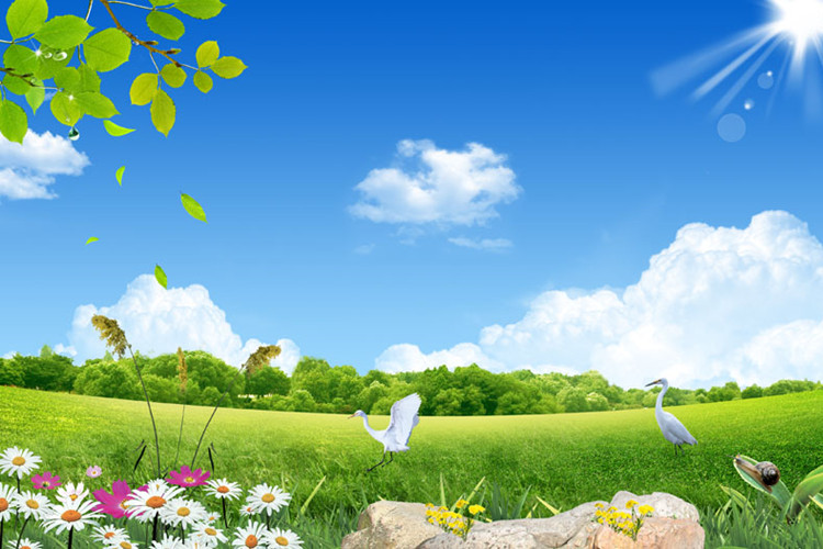 伊犁哈薩克自治州靠譜的學歷提升培訓機構(gòu)