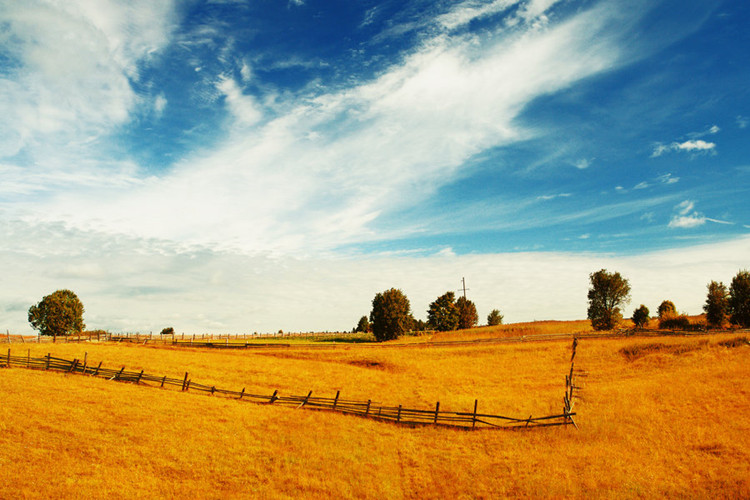 伊犁哈薩克自治州成人?？粕究朴心男W(xué)?？梢詧罂?？