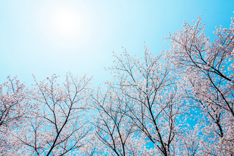 物理學(xué)專業(yè)專升本有哪些學(xué)?？梢詧罂?？