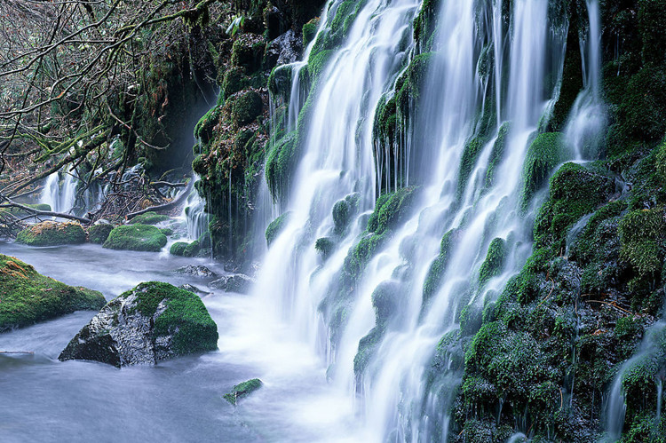 三明學(xué)歷提升哪種方式快？