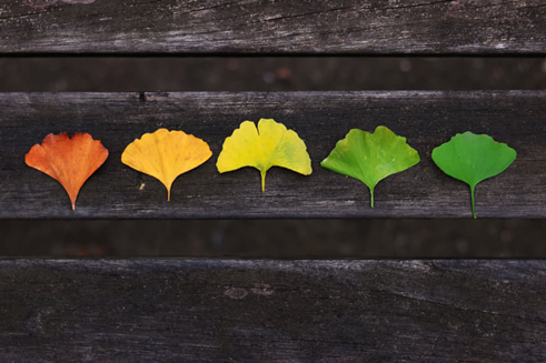 專升本備考，用行動(dòng)來(lái)贏一個(gè)不怨不悔，你具備這幾條心態(tài)嗎？