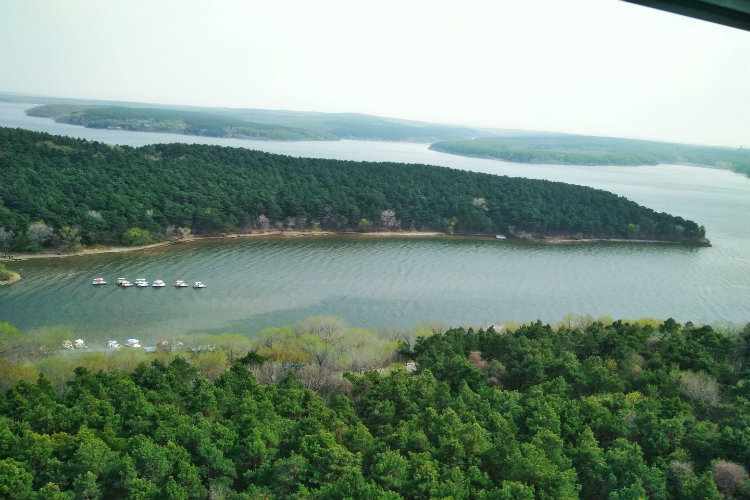 成考都考哪些科目？