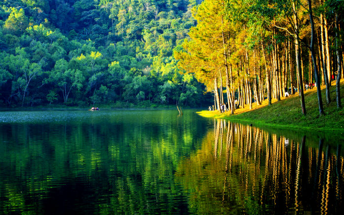 四川農(nóng)業(yè)大學(xué)專升本難嗎？