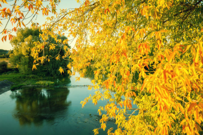 萍鄉(xiāng)專升本哪個(gè)培訓(xùn)機(jī)構(gòu)好？靠譜嗎？