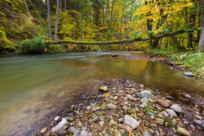 廣西貴港專升本哪個成人培訓(xùn)機構(gòu)好？