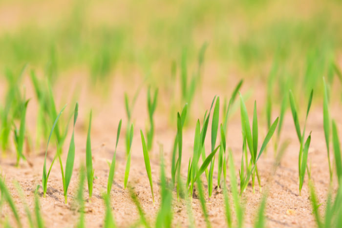 廣安成人專(zhuān)升本教育哪個(gè)培訓(xùn)機(jī)構(gòu)靠譜？