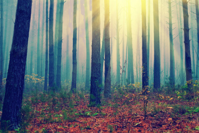 商洛?？粕究频呐嘤?xùn)機構(gòu)哪家靠譜？