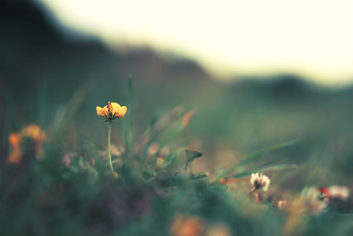 來賓市專升本培訓(xùn)機(jī)構(gòu)哪家報(bào)名靠譜？