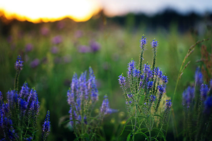 定西專升本教育培訓(xùn)機(jī)構(gòu)名單是什么？哪家機(jī)構(gòu)靠譜？