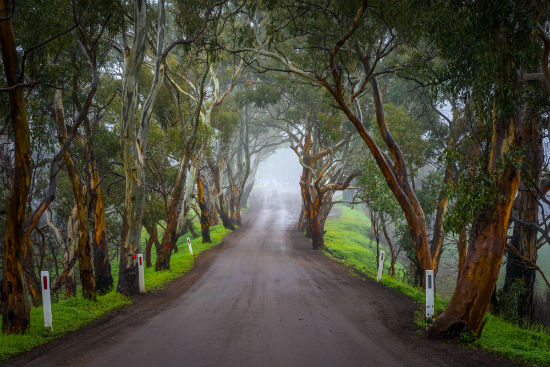 北京外國語大學(xué)網(wǎng)絡(luò)教育怎么才可以免試入學(xué)錄??？