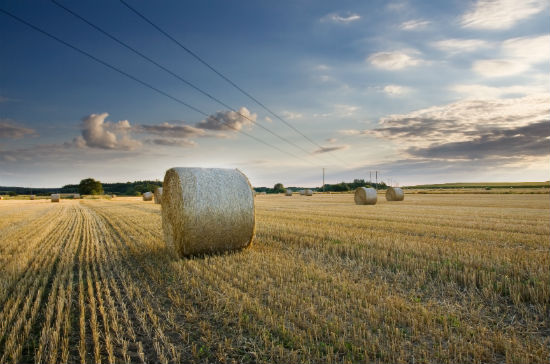 商務(wù)英語專升本一年學(xué)費大概交多少錢？