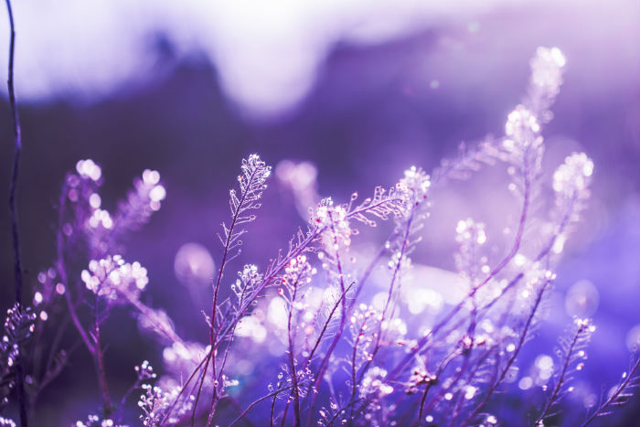 蘭州大學(xué)網(wǎng)絡(luò)教育學(xué)院更新招生簡章了嗎？報考要求有沒有變化？