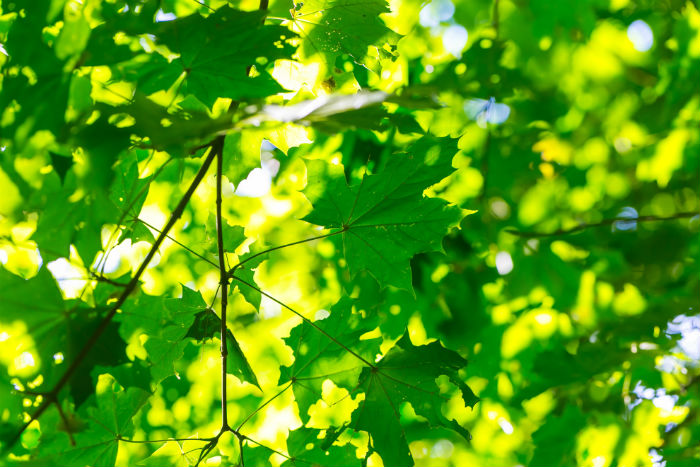 視覺傳達設計專升本什么時候能學完課程并畢業(yè)？