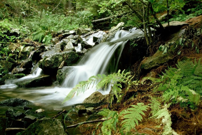 上海專升本培訓(xùn)機(jī)構(gòu)哪家好？