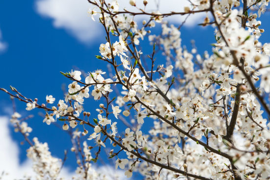 平頂山提升學(xué)歷有多少種方法和報名哪種方式學(xué)歷提升比較靠譜？