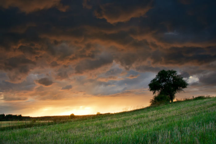 宣城專(zhuān)升本規(guī)定報(bào)名時(shí)間是從什么時(shí)候開(kāi)始的和報(bào)名官方途徑是哪兒？