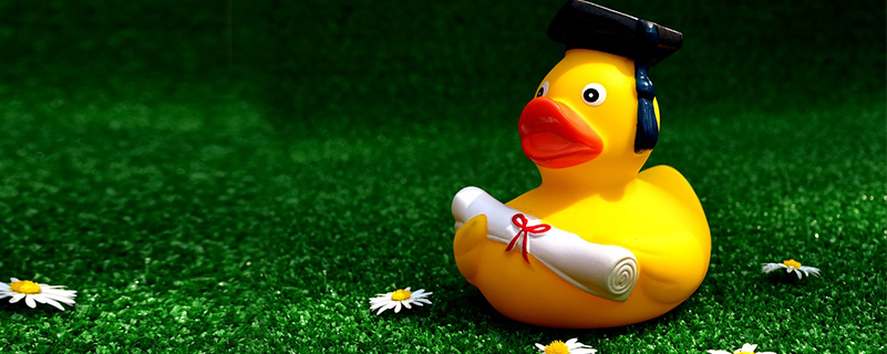 四川農(nóng)業(yè)大學(xué)網(wǎng)絡(luò)教育本科學(xué)位證申請(qǐng)要求