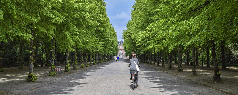 四川農(nóng)業(yè)大學網(wǎng)院畢業(yè)學分要修多少