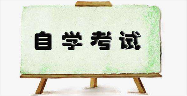 自考如何高效背書？有什么經(jīng)驗(yàn)技巧嗎？