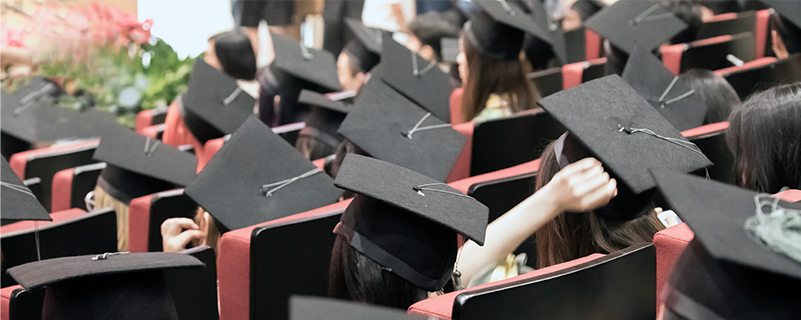 東北農(nóng)業(yè)大學網(wǎng)絡(luò)教育什么學歷能免試入學