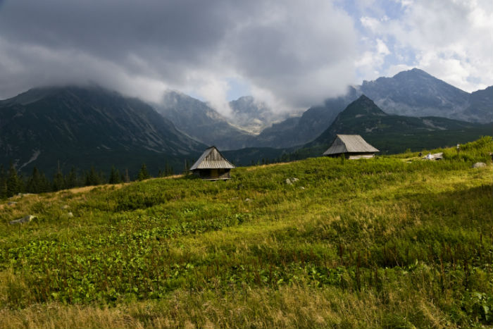 石家莊專升本考試時(shí)間2020