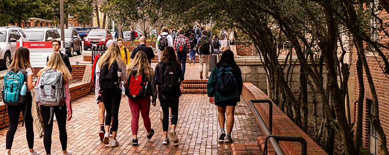 臨沂網(wǎng)絡(luò)教育有哪些專業(yè)可以選擇？