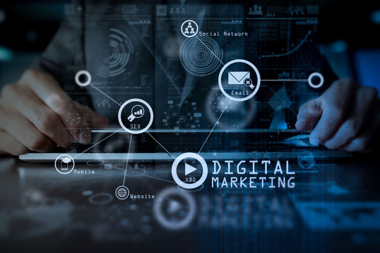 計算機網(wǎng)絡技術專升本可以報什么專業(yè)