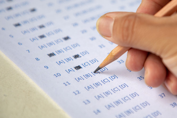 網(wǎng)絡(luò)教育可專(zhuān)升本專(zhuān)業(yè)有哪些？