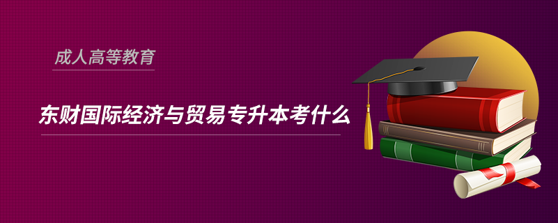 東財(cái)國際經(jīng)濟(jì)與貿(mào)易專升本考什么