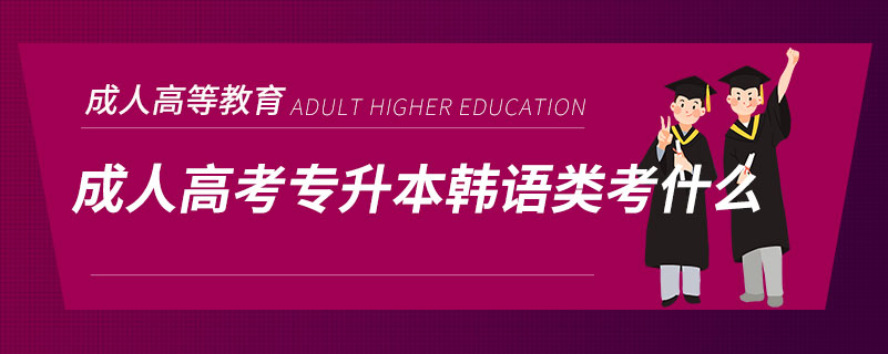 成人高考專升本韓語(yǔ)類(lèi)考什么