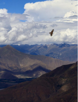 “美麗中國(guó) 幸福人民”主題攝影比賽圓滿收官